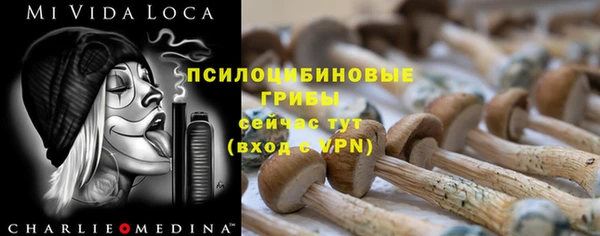 кокс Алексин