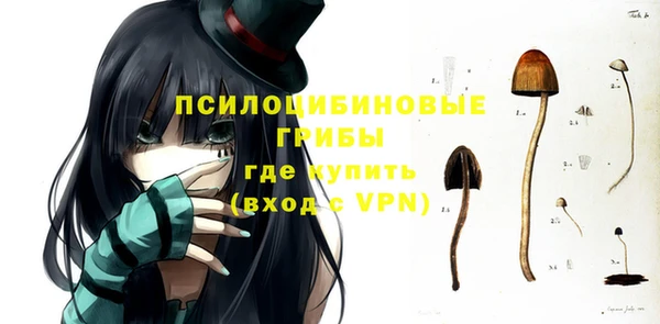 a pvp Алзамай