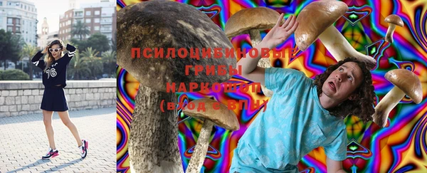 кокс Алексин