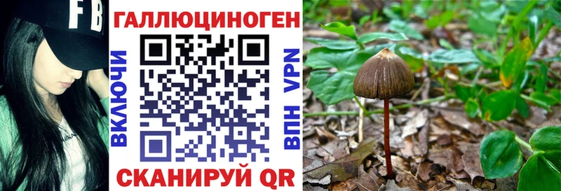 хочу Казань Галлюциногенные грибы Psilocybine cubensis